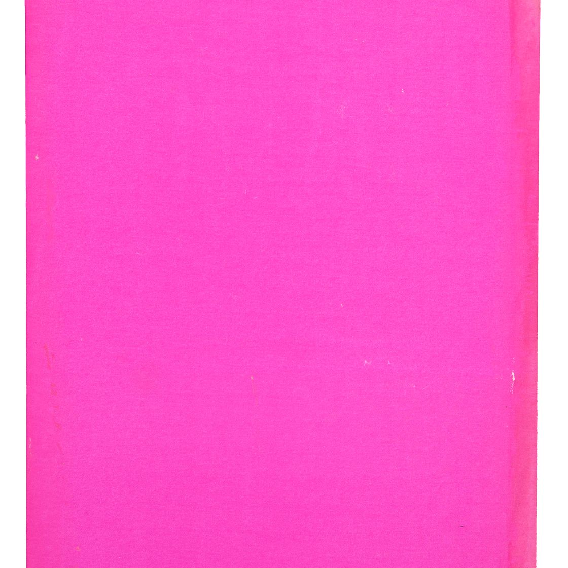 Andy Warhol — Дикая малина (F. & S. IV.126A-143A)