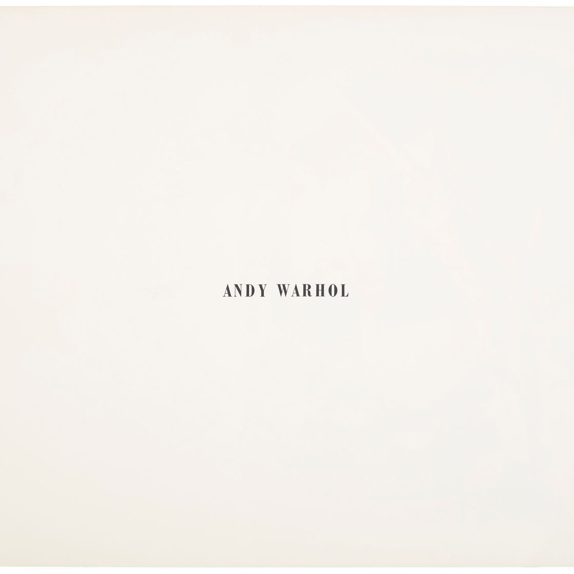 Andy Warhol — Бирмингемский расовый бунт, из десяти работ десяти художников, изображение 2