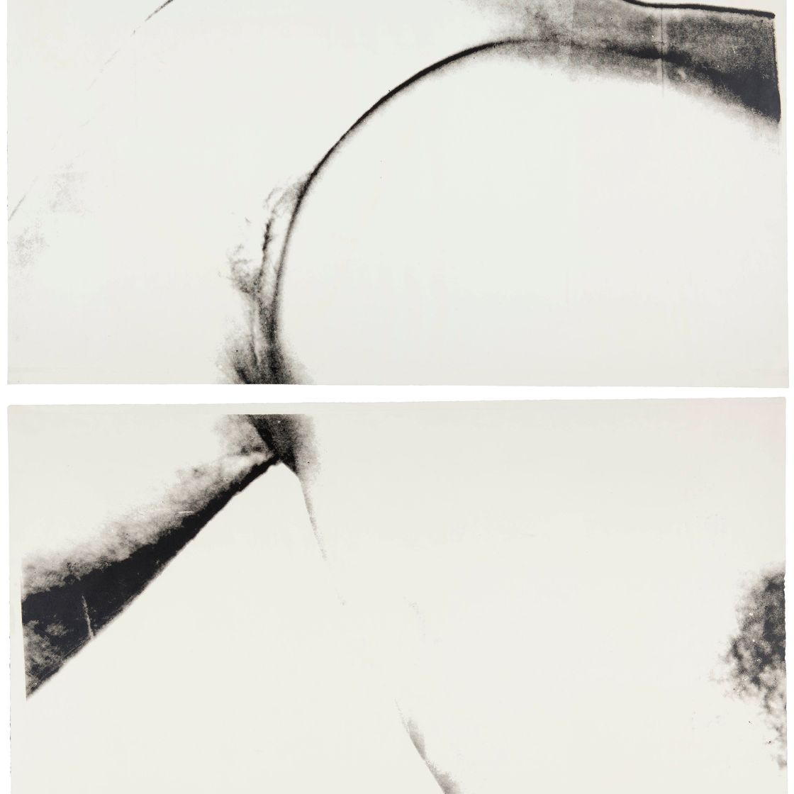 Andy Warhol — Туловище (F. & S. IIIA.2[a])