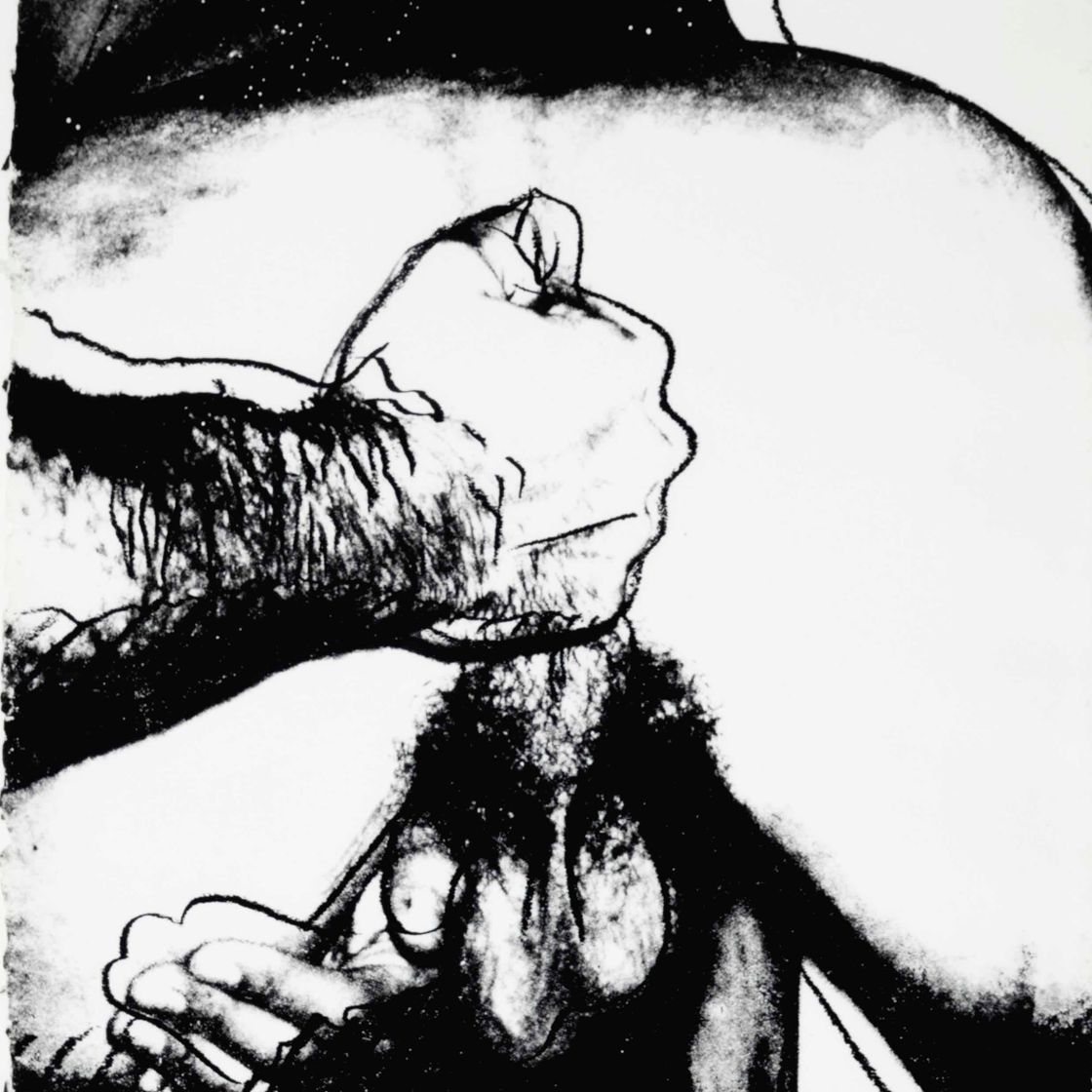 Andy Warhol — Половые органы