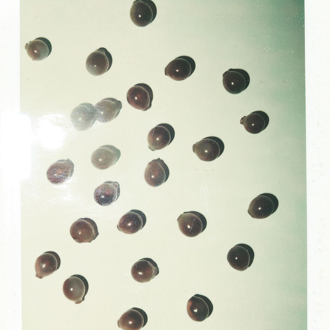 Andy Warhol — Красный виноград, изображение 5
