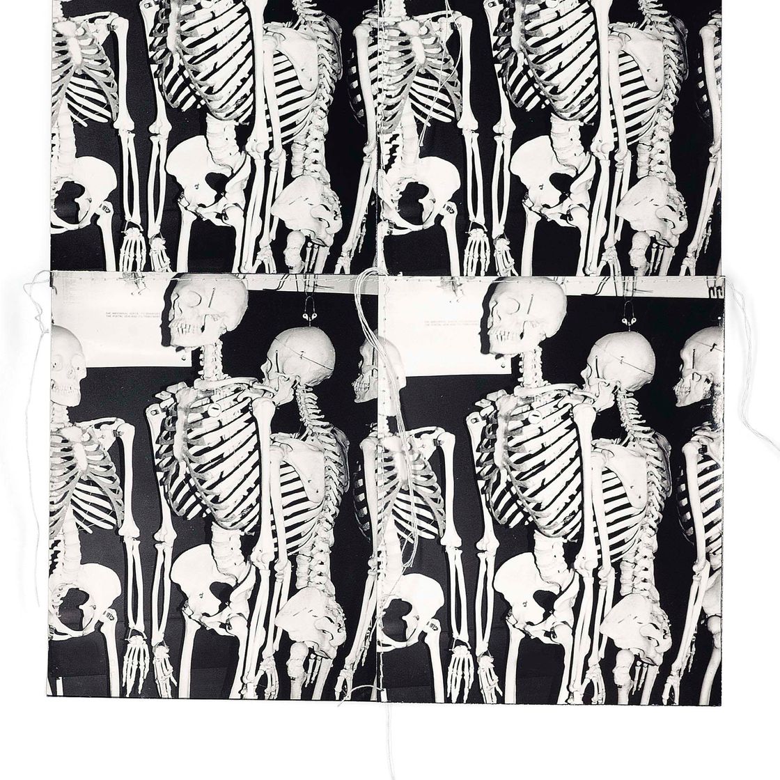 Andy Warhol — Выпуск фотографий для Parkett (Parkett 12)