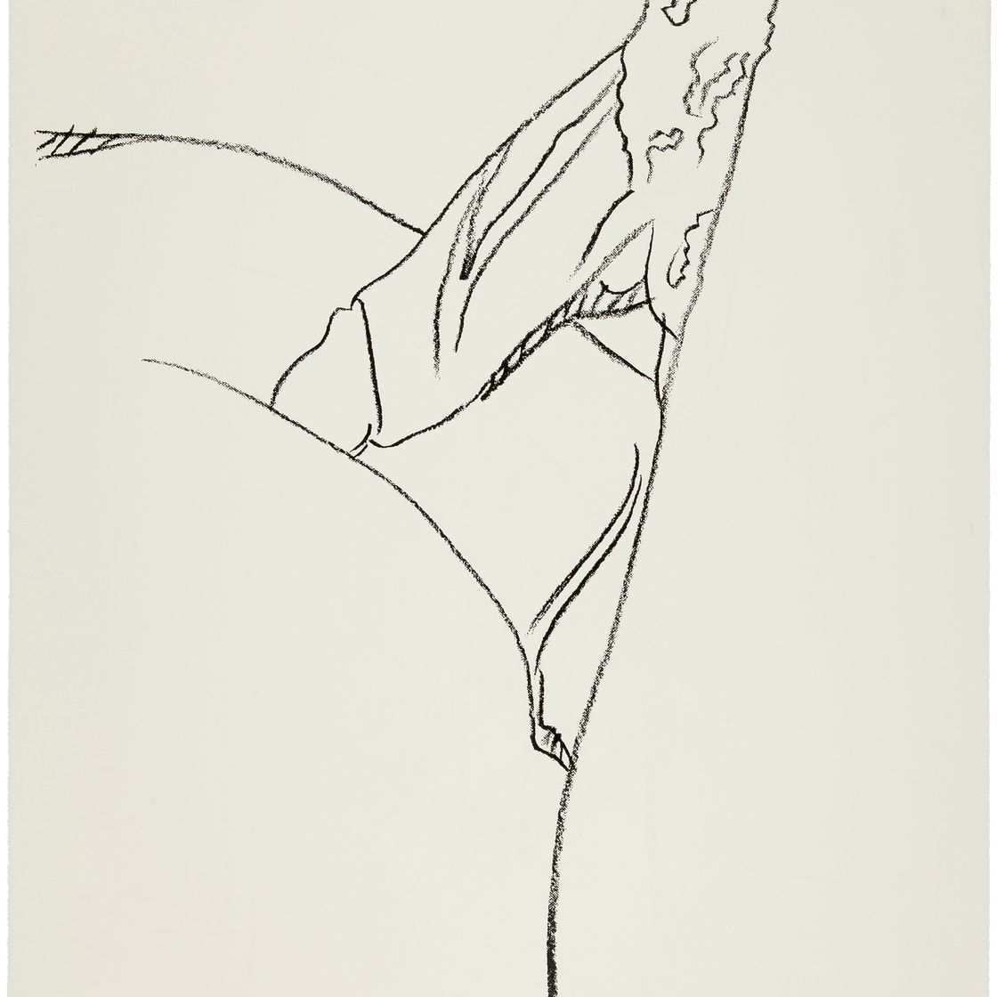 Andy Warhol — Половые органы (см. F. & S. II.174)