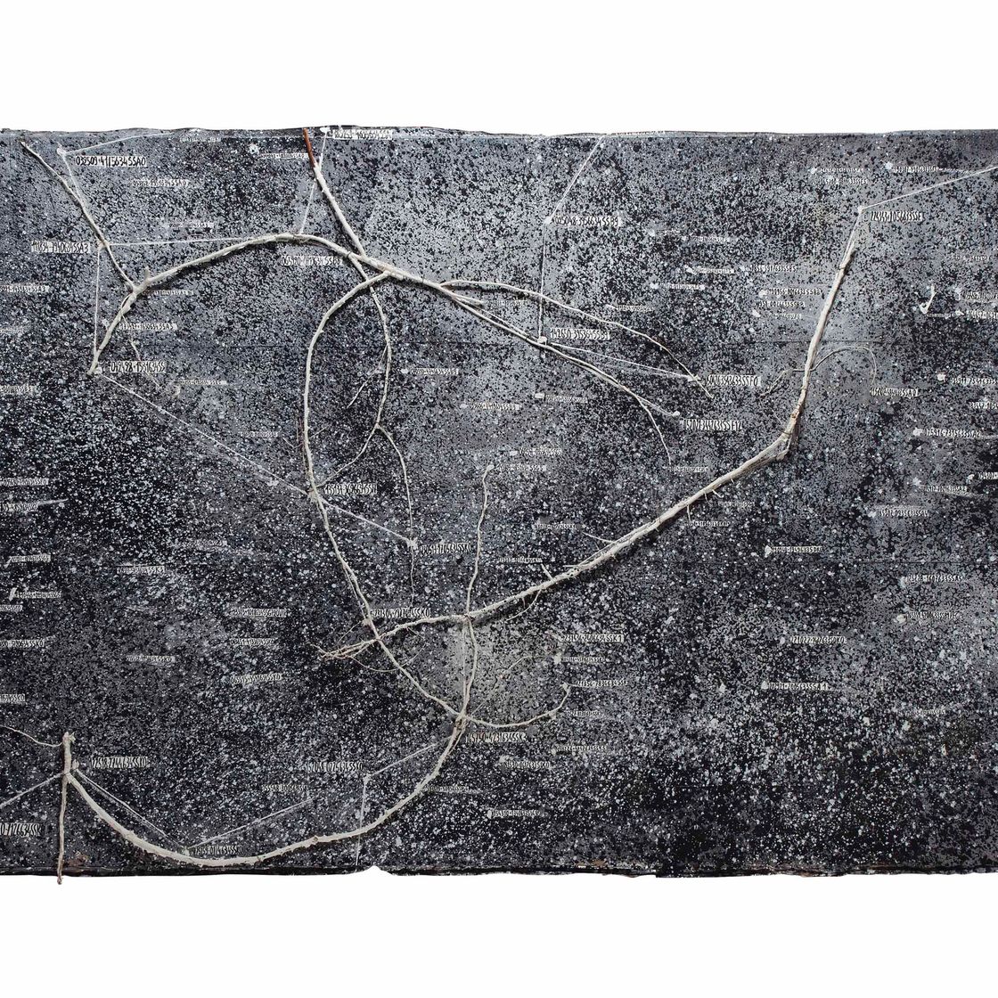 Anselm Kiefer — Тайная жизнь растений: Звездная живопись