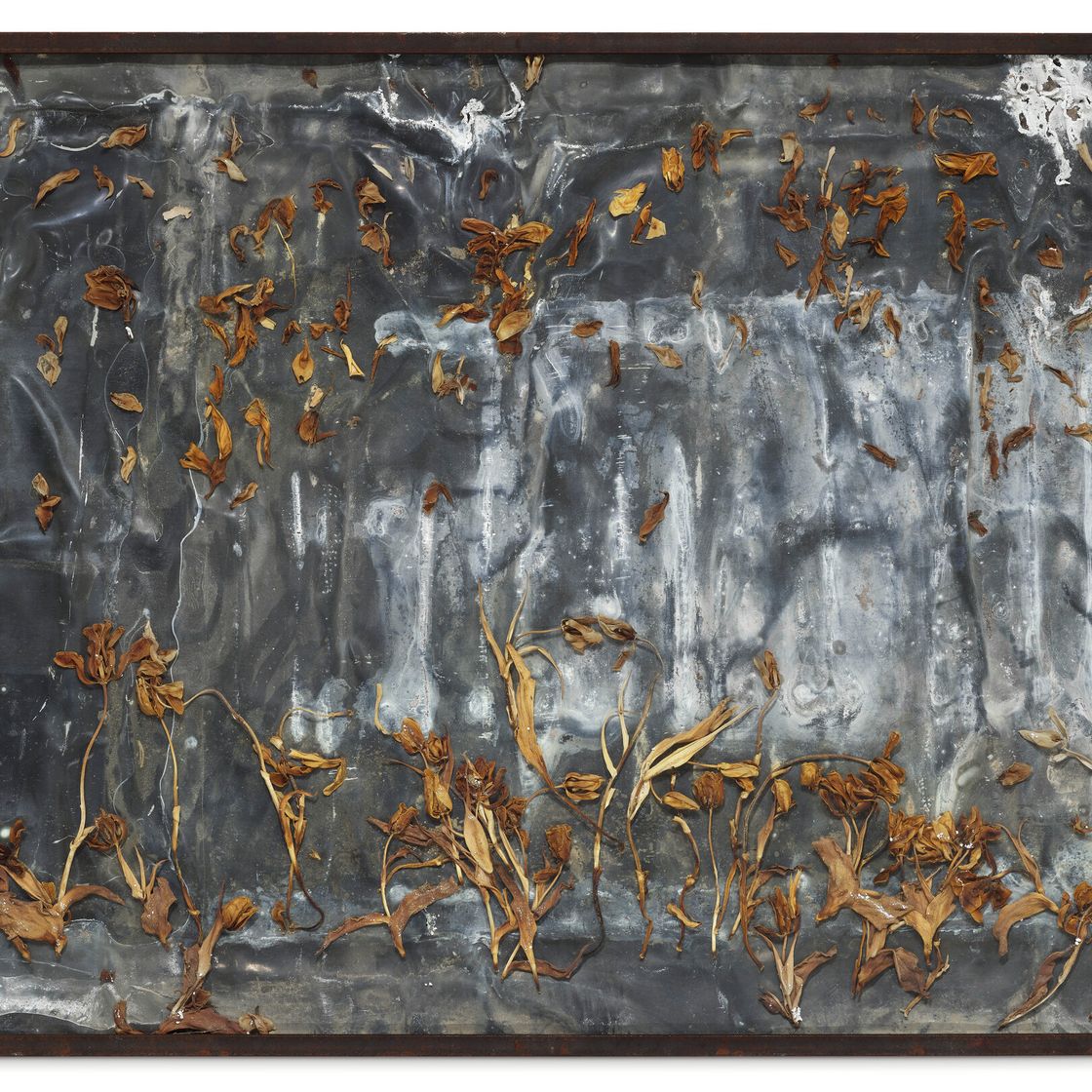 Anselm Kiefer — Мультатули, изображение 1