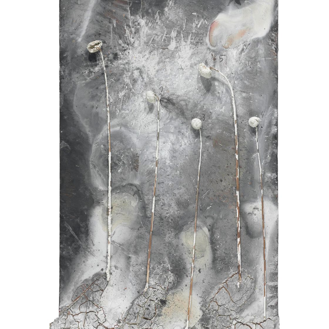 Anselm Kiefer — Смерть молодого человека