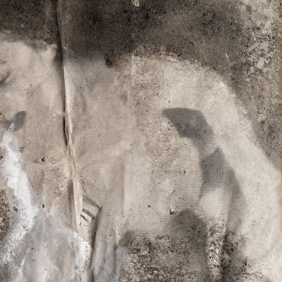 Anselm Kiefer — Олимпия, изображение 4