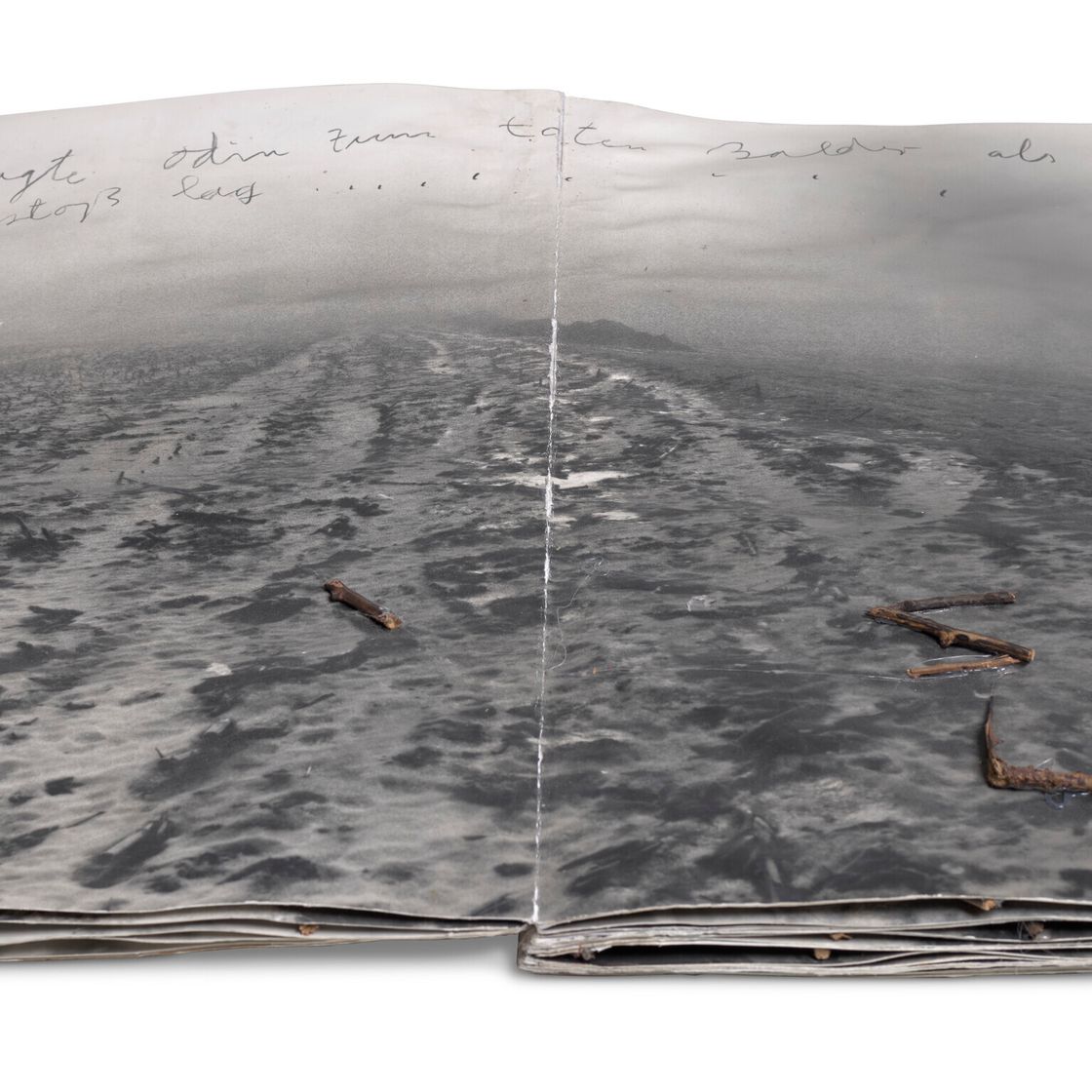 Anselm Kiefer — Был ли сагте Один таким же, как Тотен Бальдер, изображение 2