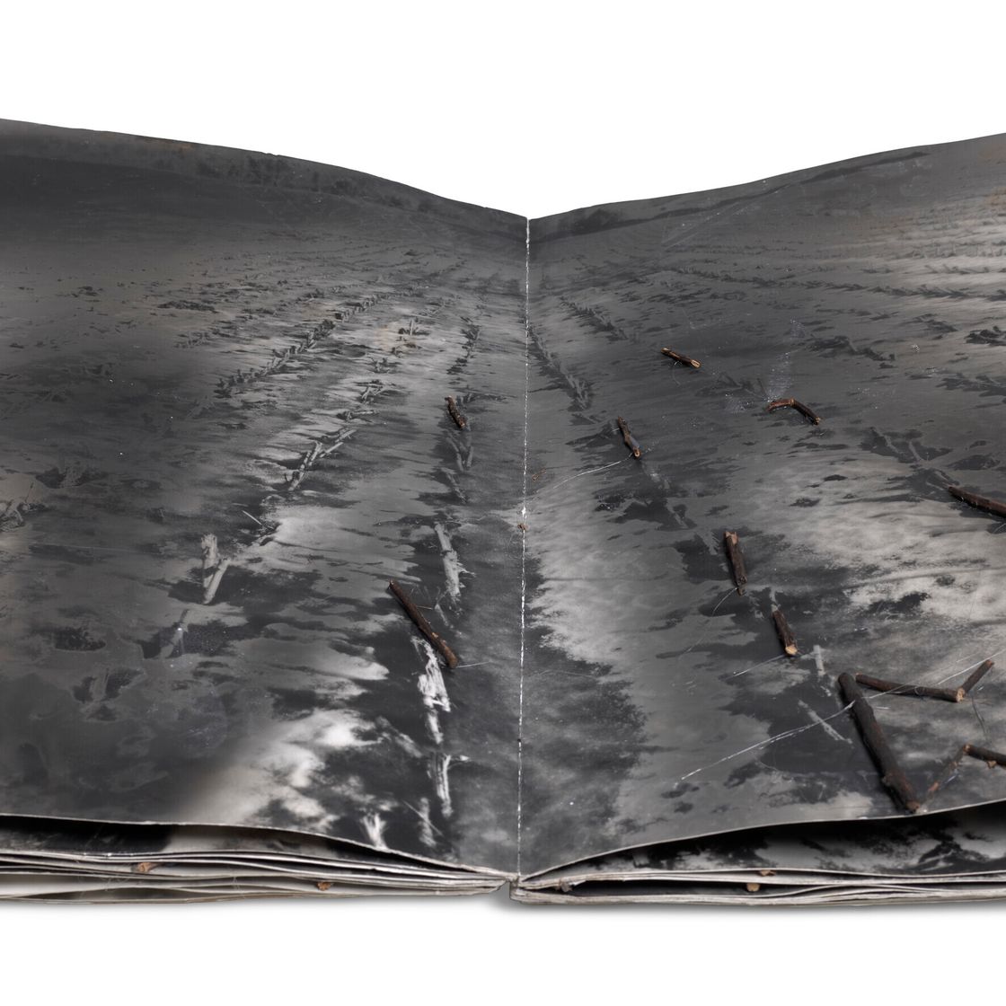 Anselm Kiefer — Был ли сагте Один таким же, как Тотен Бальдер, изображение 3
