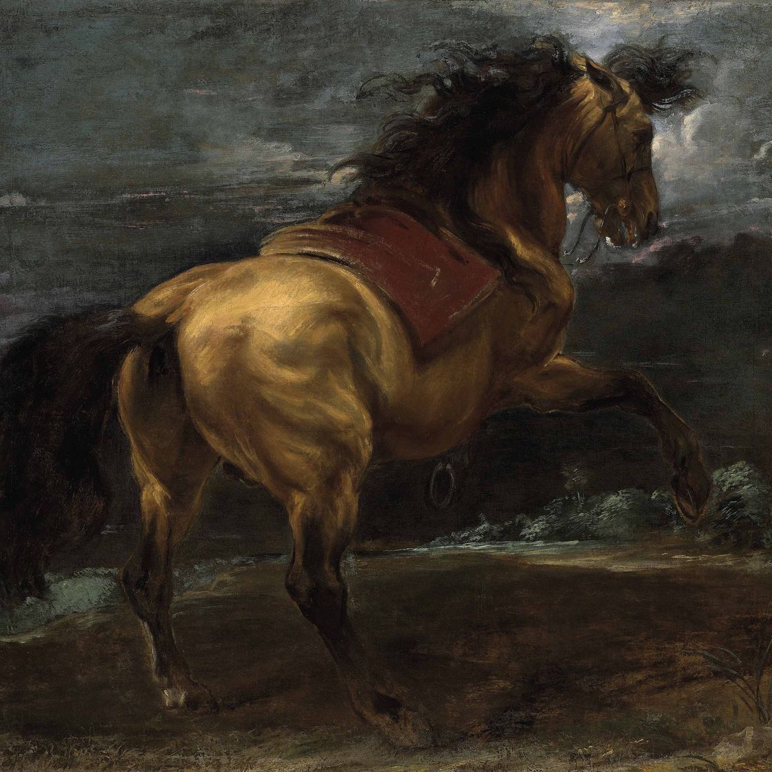 Anthony van Dyck — Вставший на дыбы жеребец
