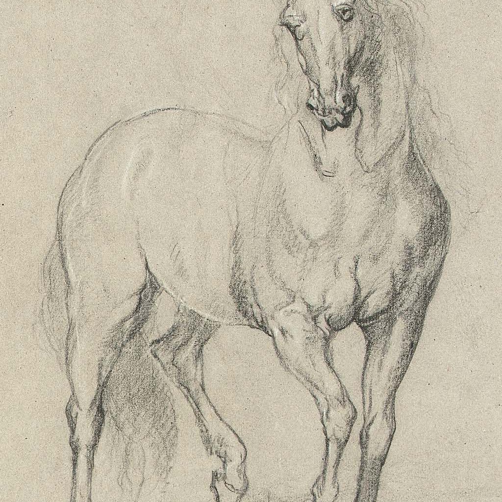 Anthony van Dyck — Лошадь