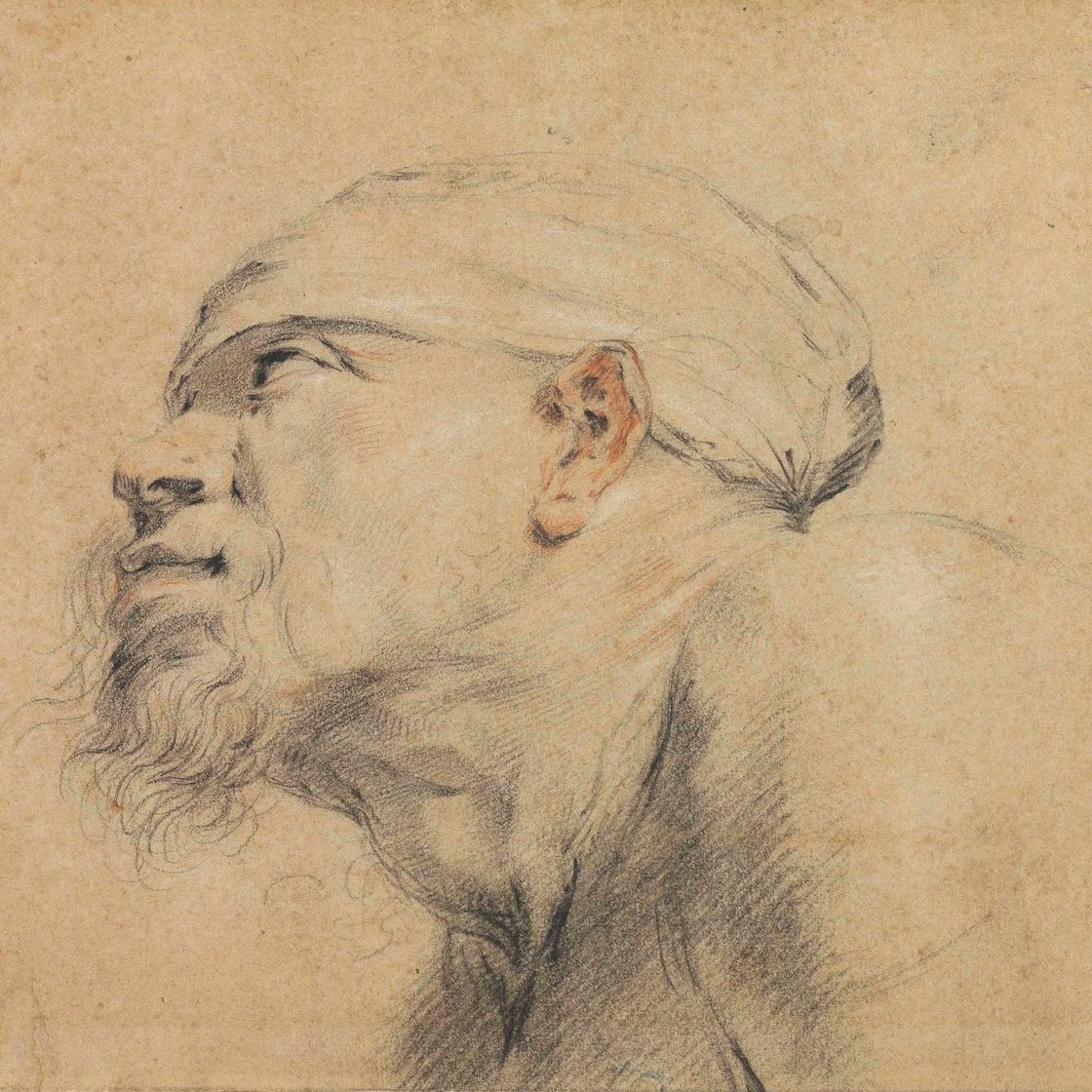 Anthony van Dyck — Голова бородатого мужчины, повернутая в профиль влево