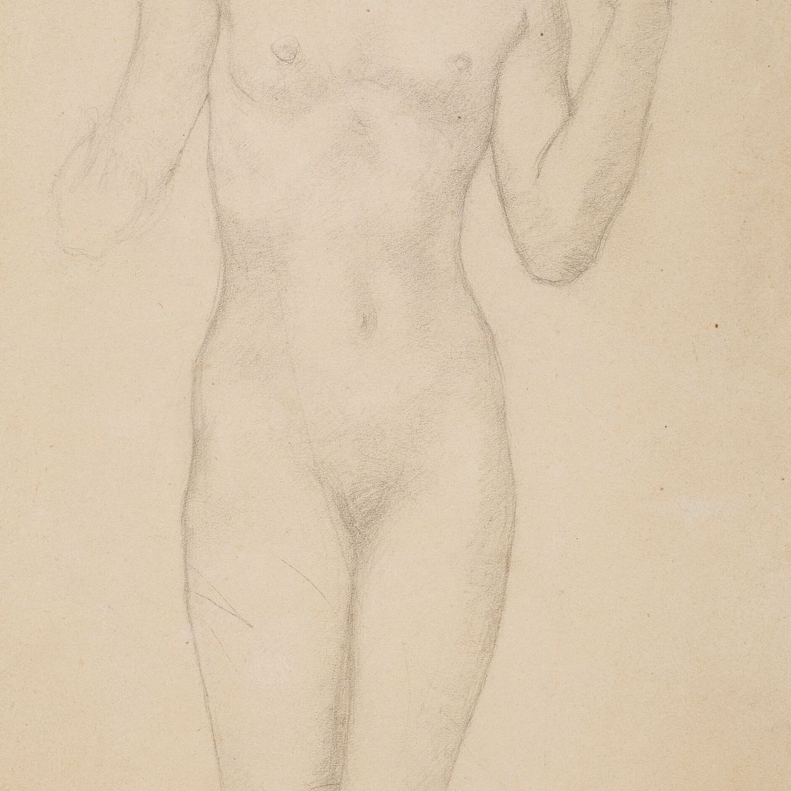 Aristide Maillol — Новый дебют с лица, изображение 1