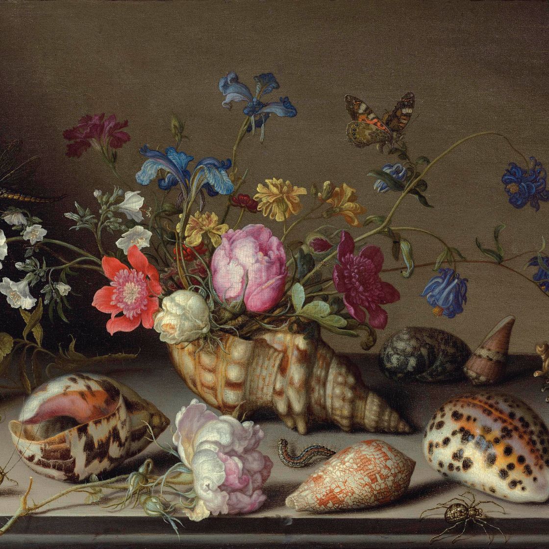 Balthasar Van Der Ast — Цветы, ракушки и насекомые на каменном выступе
