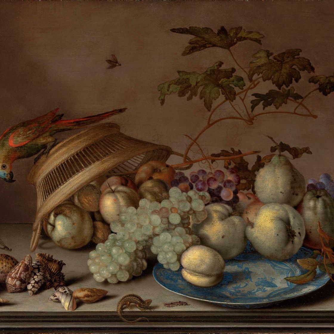 Balthasar Van Der Ast — Груши, виноград и персик на фарфоровом блюде, яблоки, роза, ракушки, стрекоза, гусеница и ящерица на каменном выступе, попугай в перевернутой плетеной корзине.
