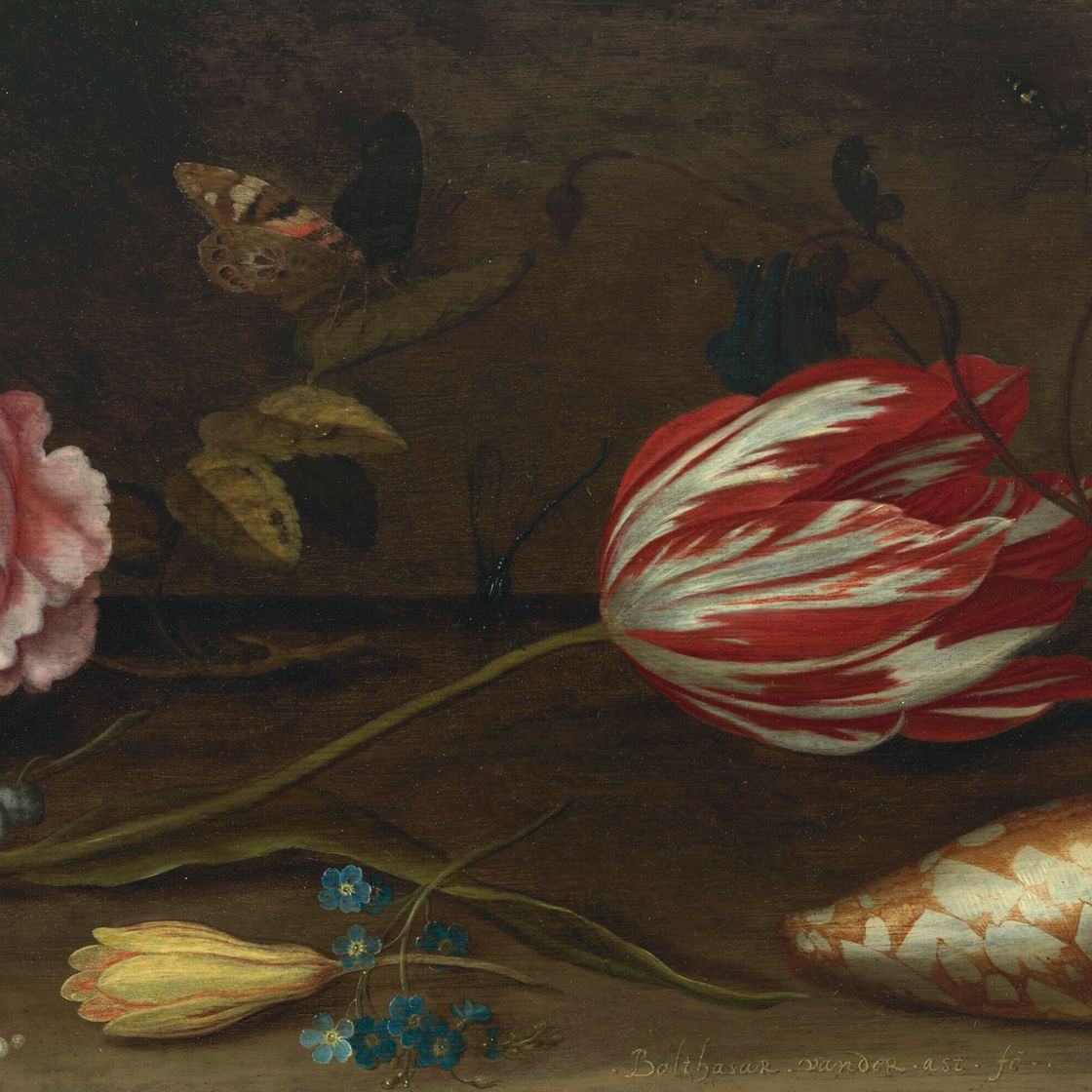 Balthasar Van Der Ast — Роза, тюльпан, насекомые и ракушка на выступе, изображение 1