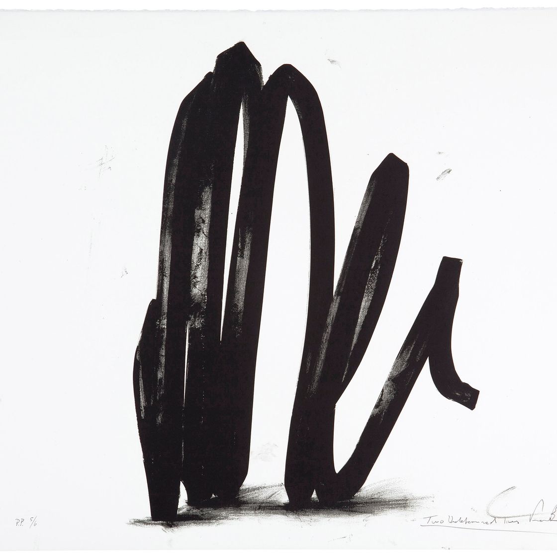 Bernar Venet — Две неопределенные линии