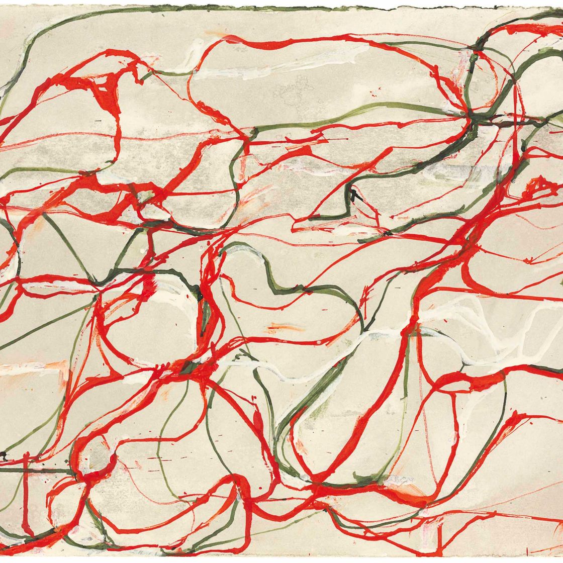 Brice Marden — Красно-зеленый рисунок 2 без названия, изображение 1