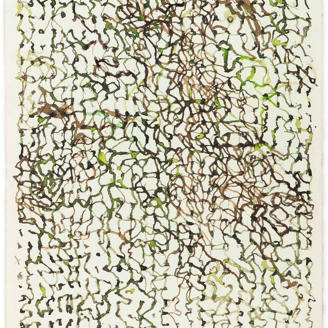 Brice Marden — Африканский рисунок 10, изображение 1