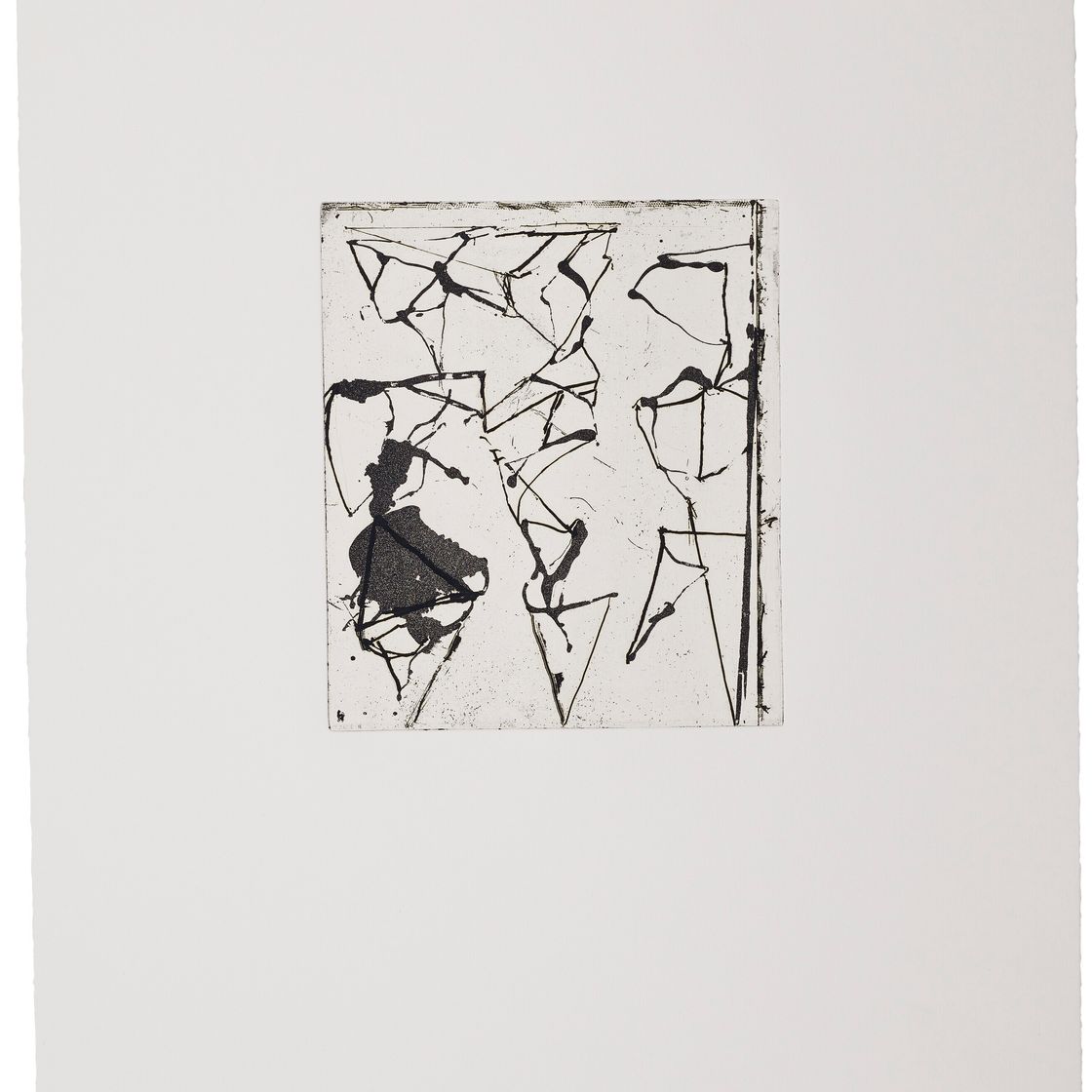Brice Marden — Гравюры для Rexroth, изображение 11