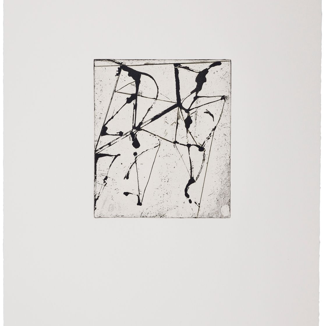 Brice Marden — Гравюры для Rexroth, изображение 12