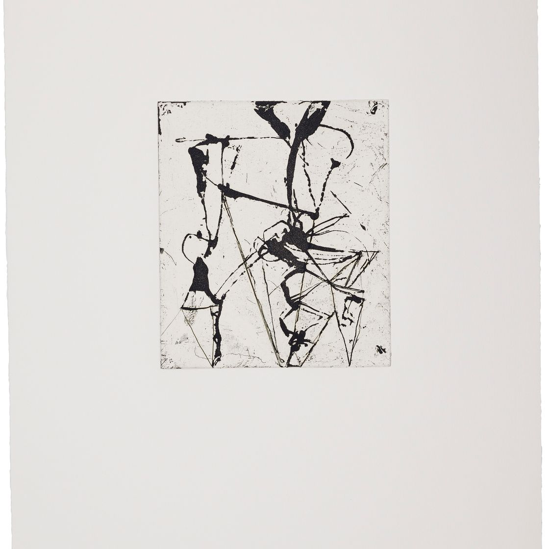 Brice Marden — Гравюры для Rexroth, изображение 14