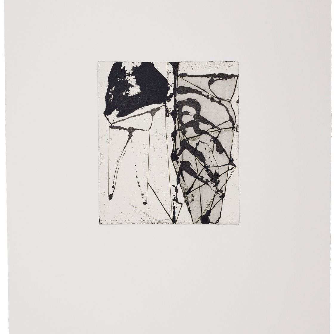 Brice Marden — Гравюры для Rexroth, изображение 17
