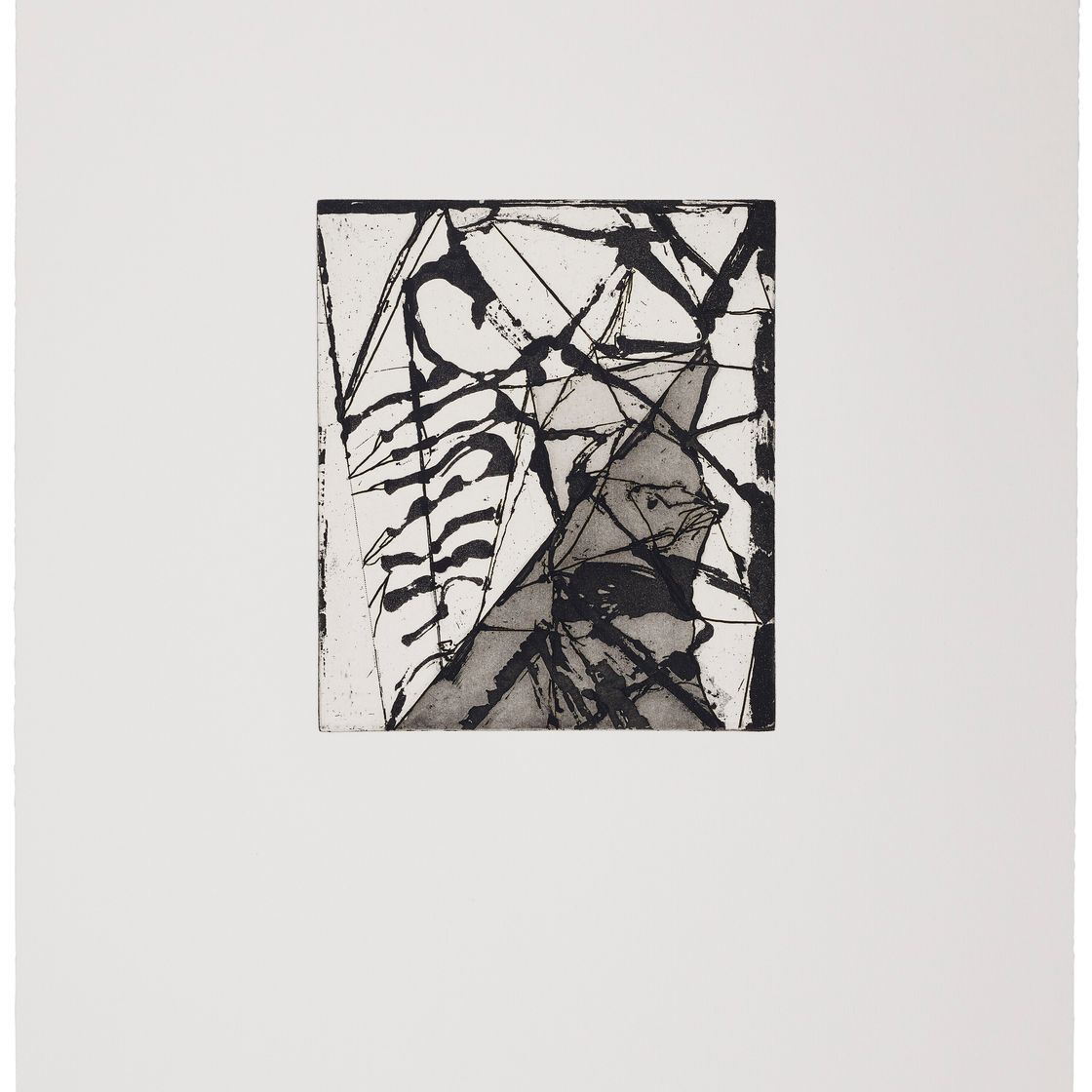 Brice Marden — Гравюры для Rexroth, изображение 18