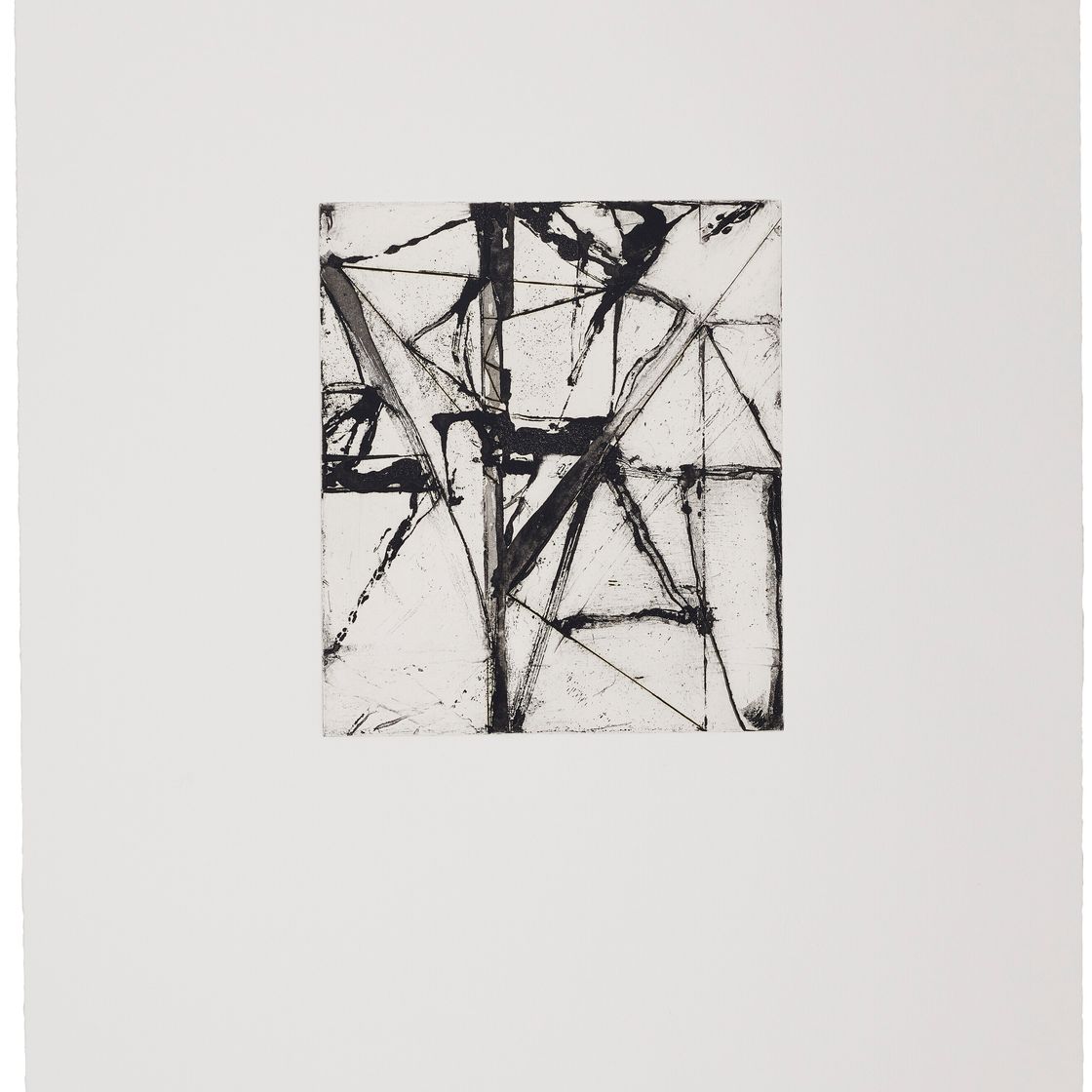 Brice Marden — Гравюры для Rexroth, изображение 20