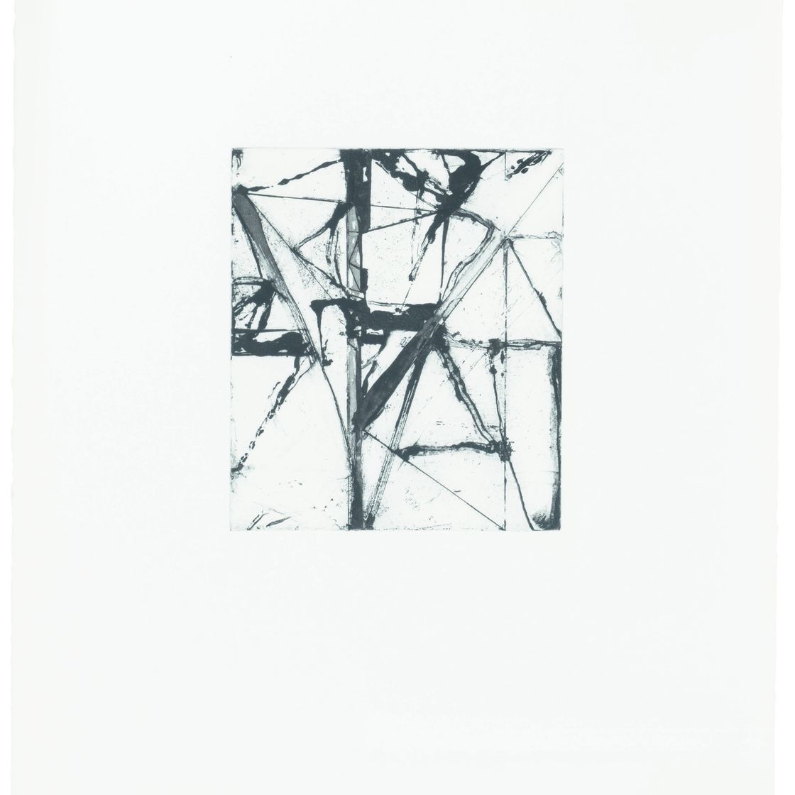 Brice Marden — Гравюры для Rexroth, изображение 19
