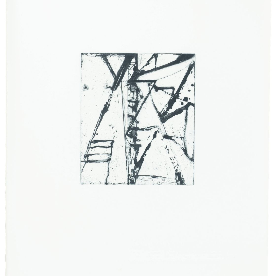 Brice Marden — Гравюры для Rexroth, изображение 20