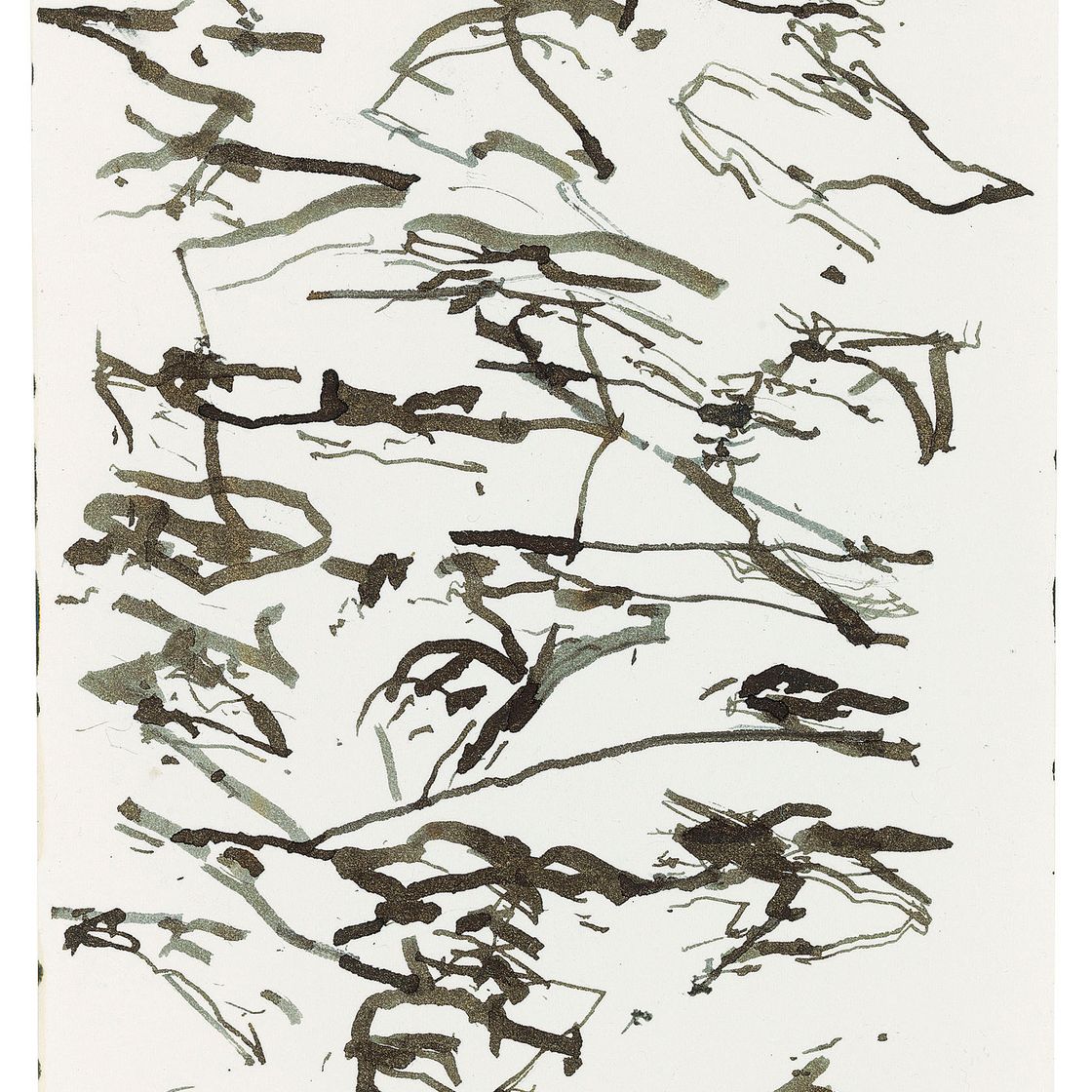 Brice Marden — Гидра