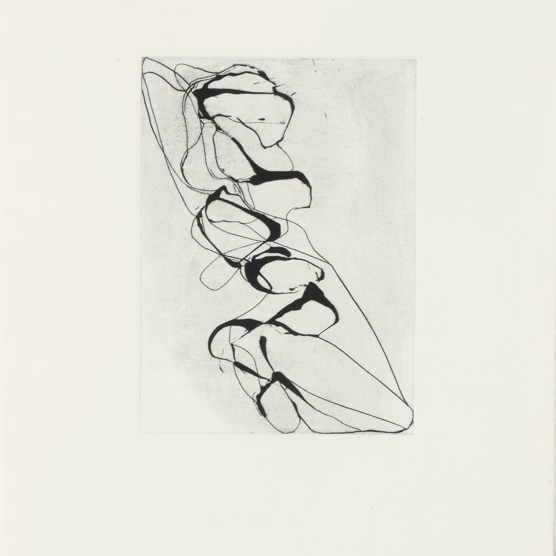 Brice Marden — Выход из Хань Шаня, изображение 3