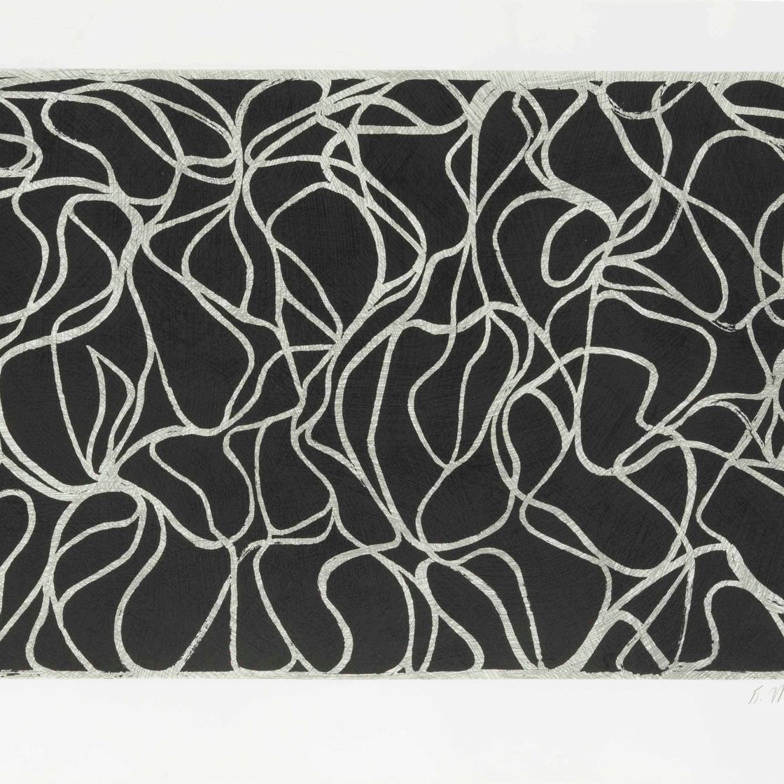 Brice Marden — Линейные музы