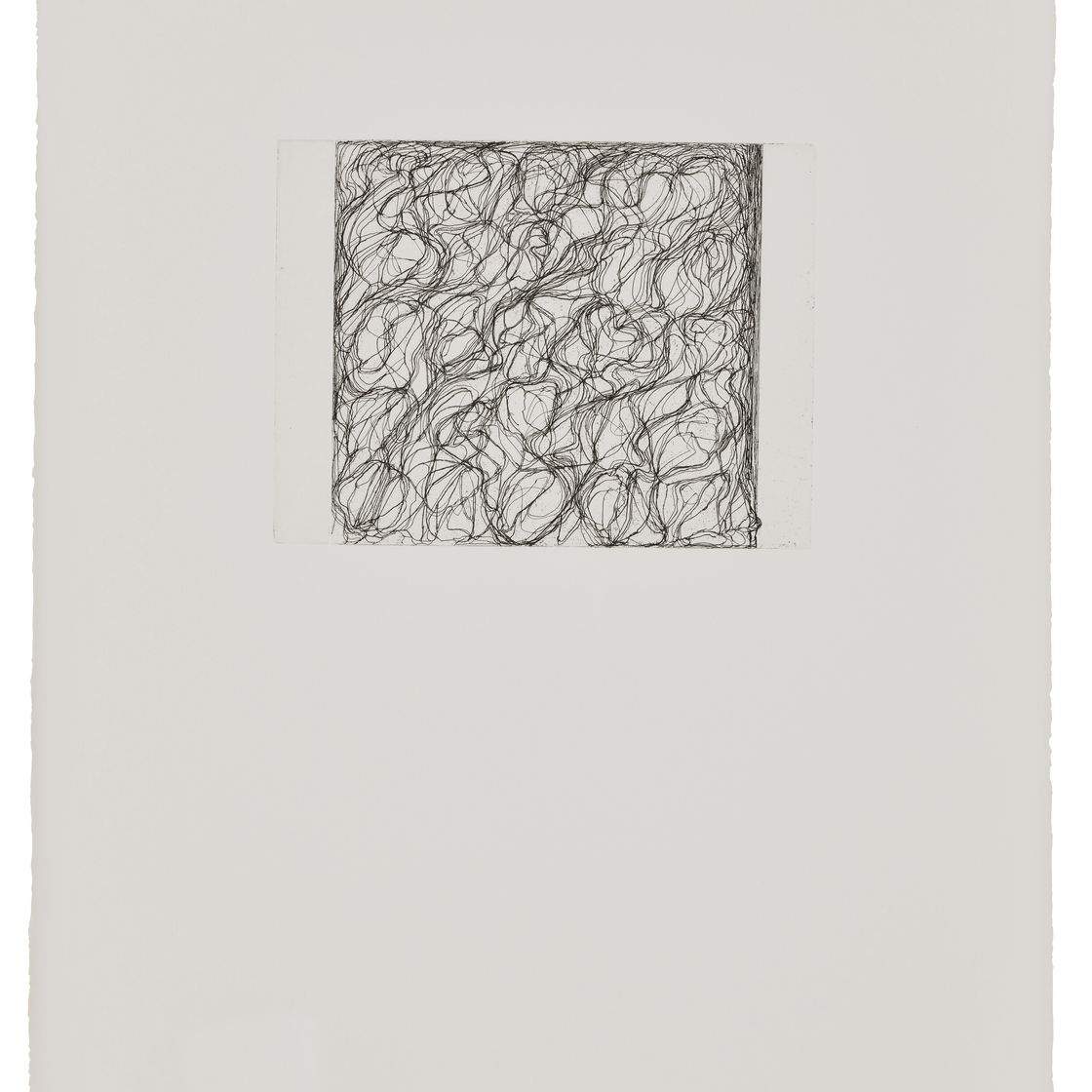 Brice Marden — Письмо с Невиса