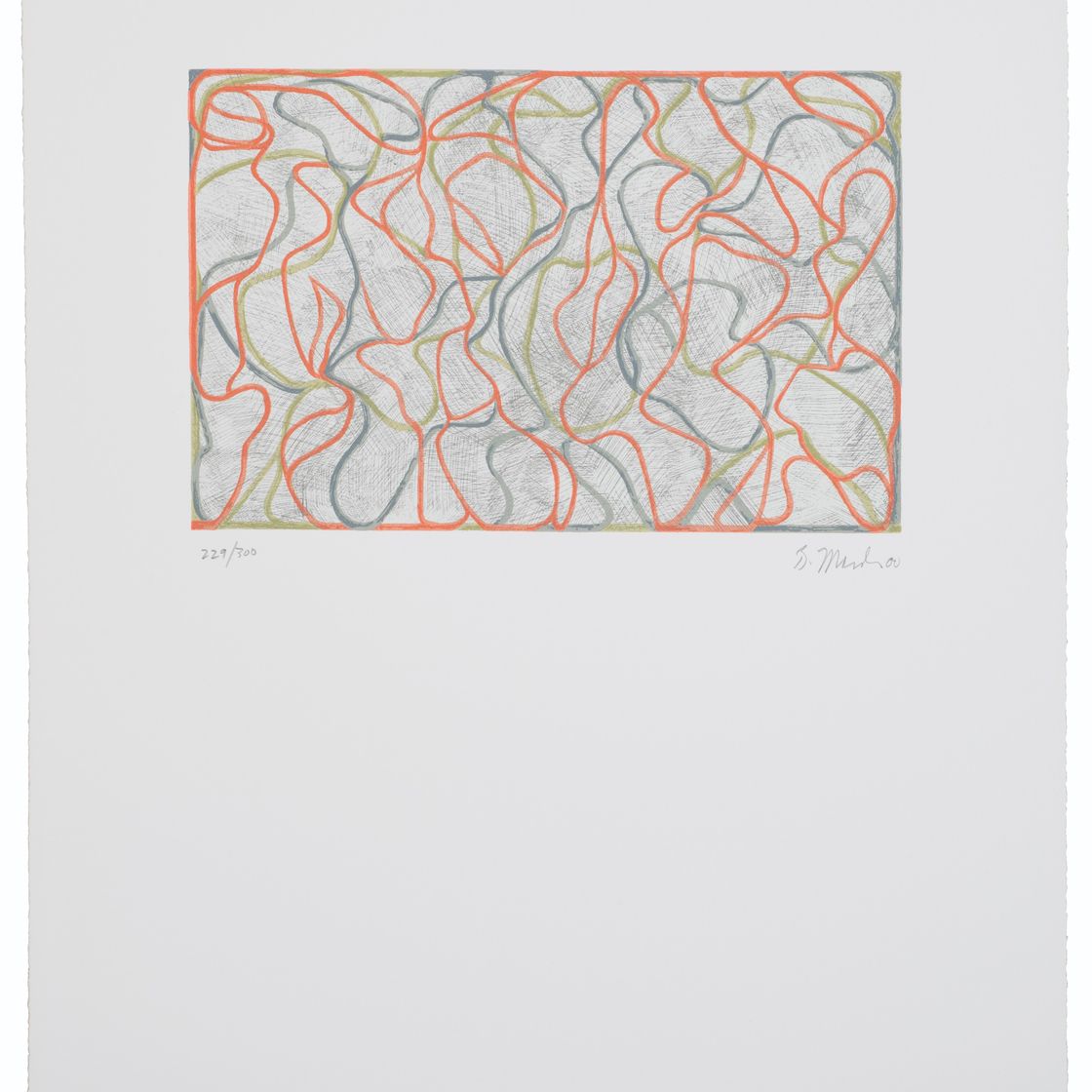 Brice Marden — Далекие музы