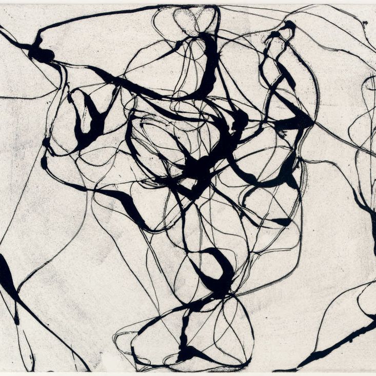 Brice Marden — В честь Боттичелли : одна тарелка