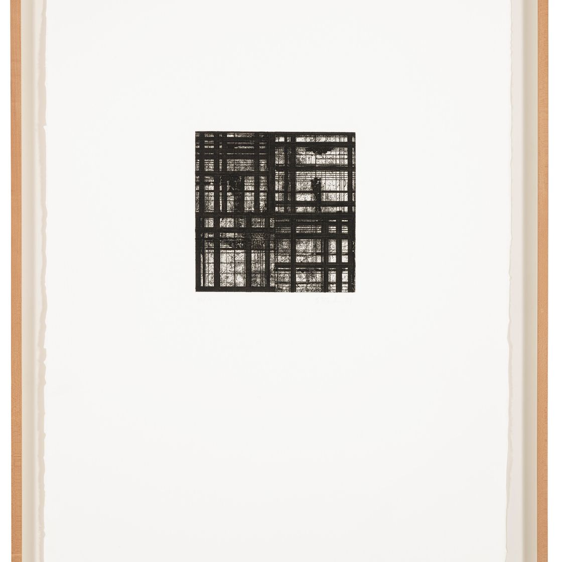 Brice Marden — Плитка, изображение 6