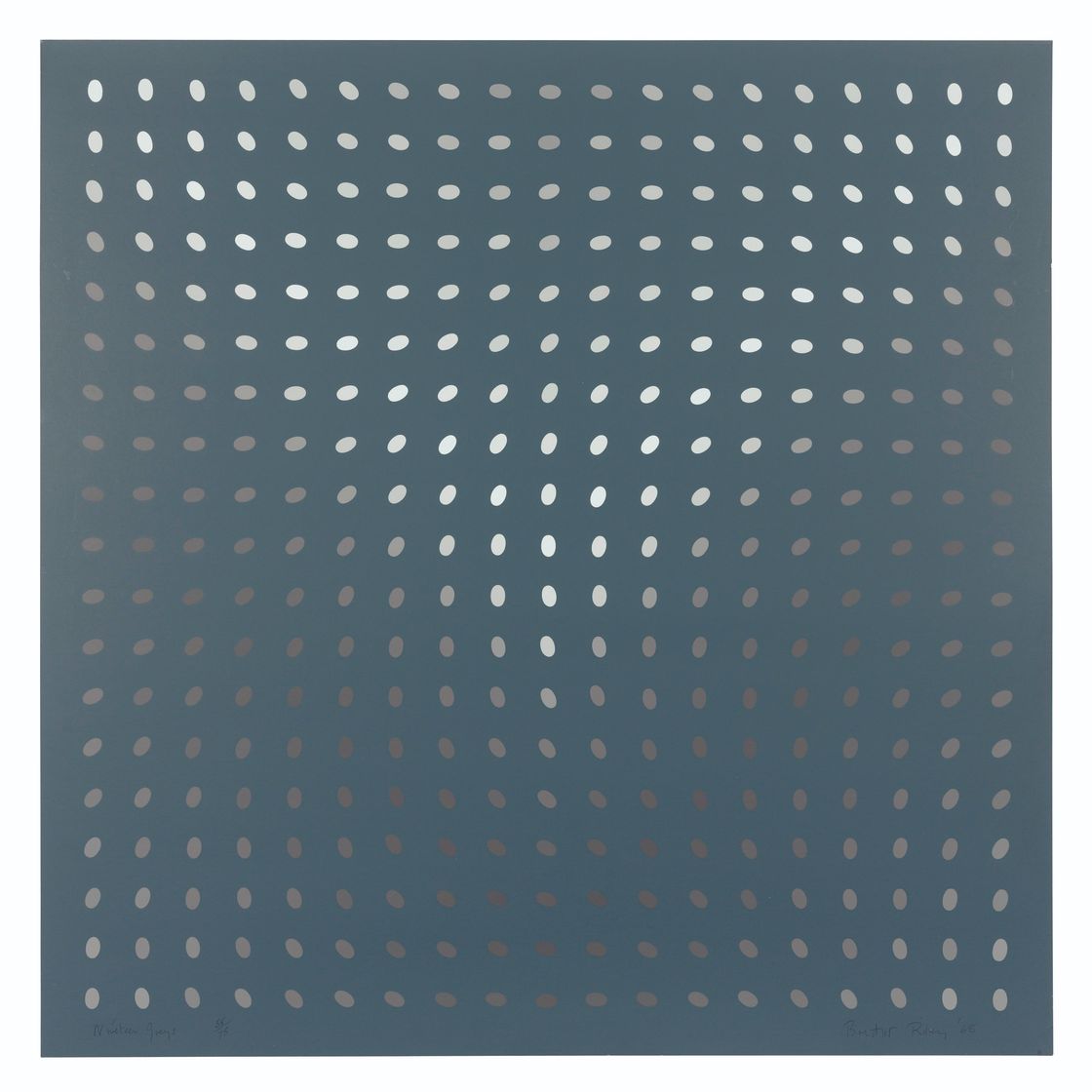 Bridget Riley — Девятнадцать Серых, изображение 5