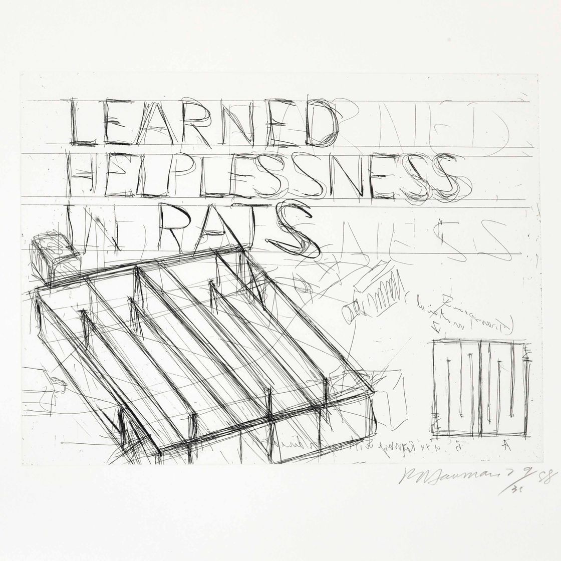 Bruce Nauman — Приобретенная беспомощность у крыс