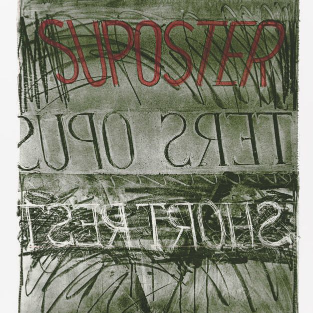 Bruce Nauman — Супостер (С. 12)