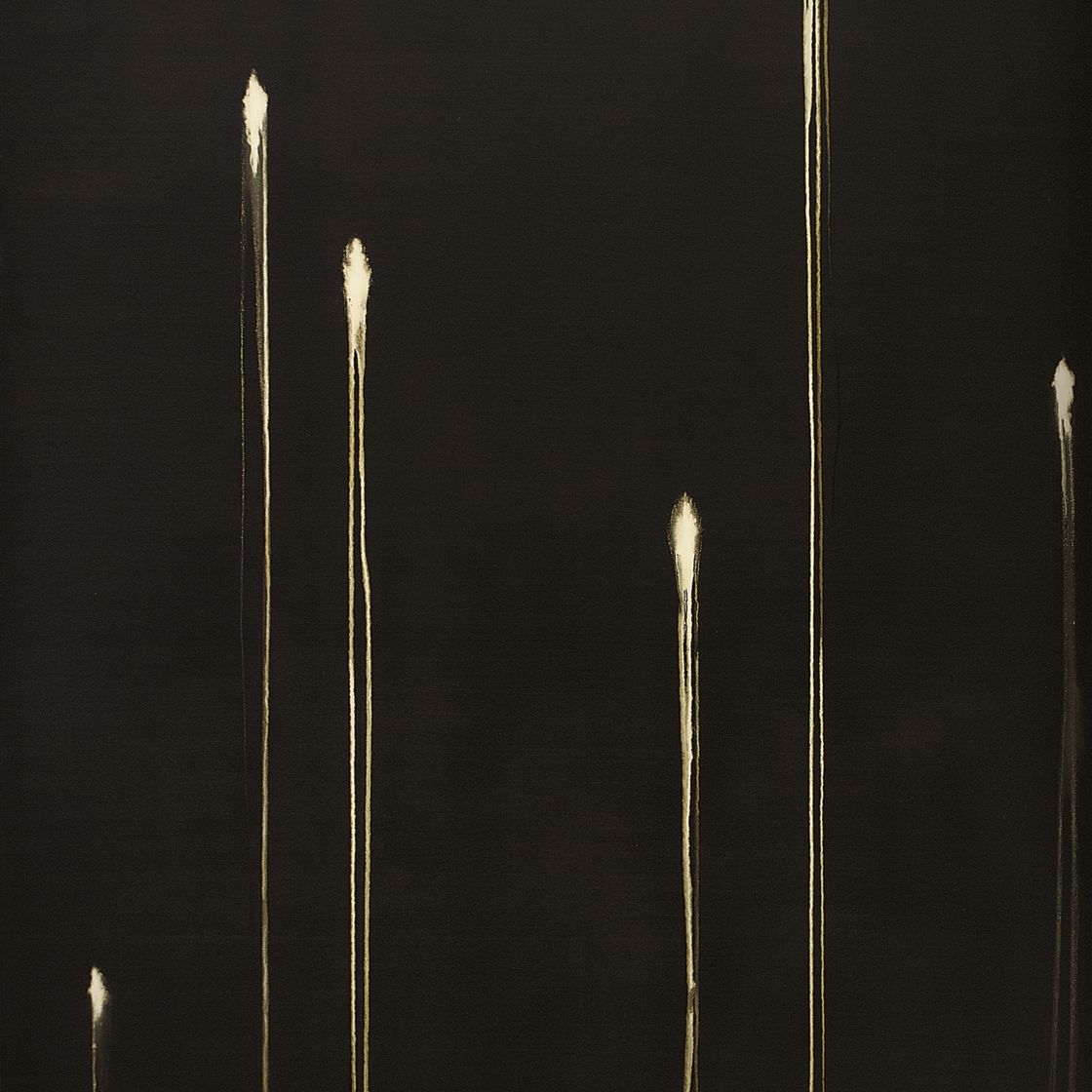 Callum Innes — Шесть идентифицированных форм