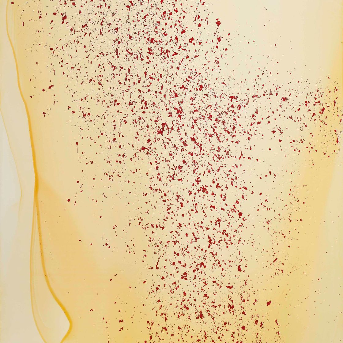 Callum Innes — Без названия