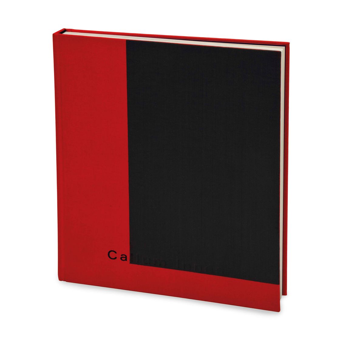 Callum Innes — По памяти