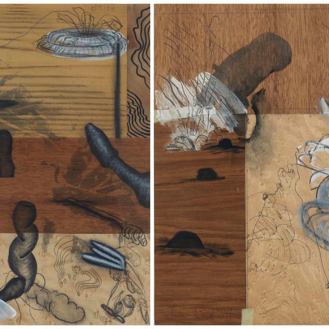 Carroll Dunham — (i) Без названия (ii) Без названия, изображение 1
