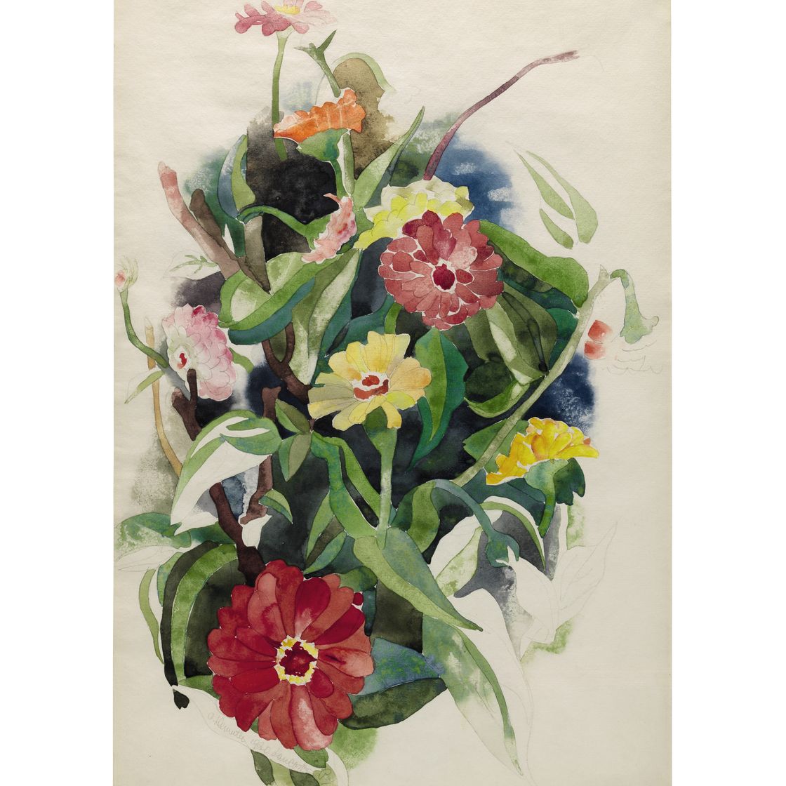 Charles Demuth — Циннии: Двусторонняя работа, изображение 1