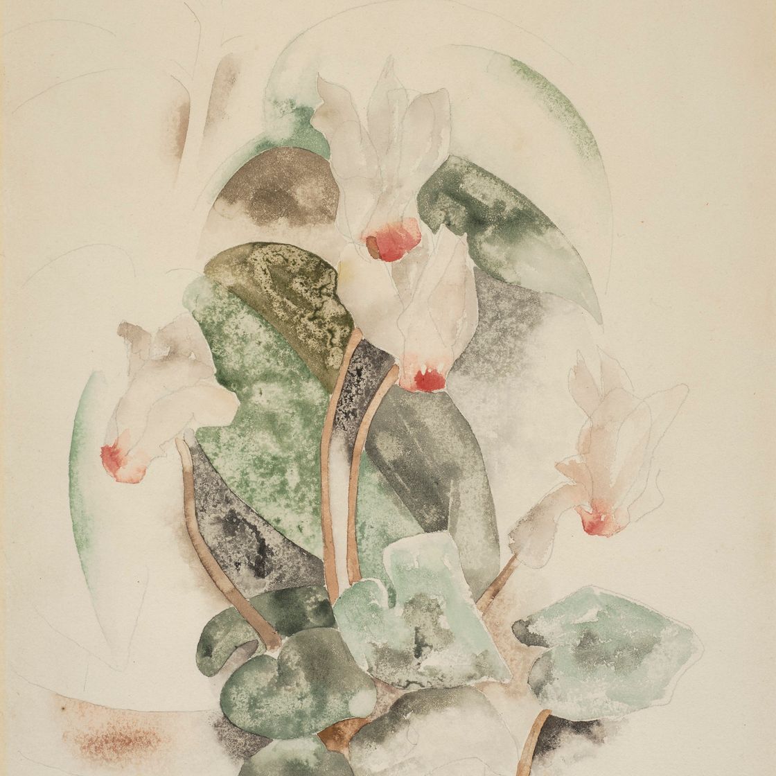 Charles Demuth — Цикламен, изображение 1