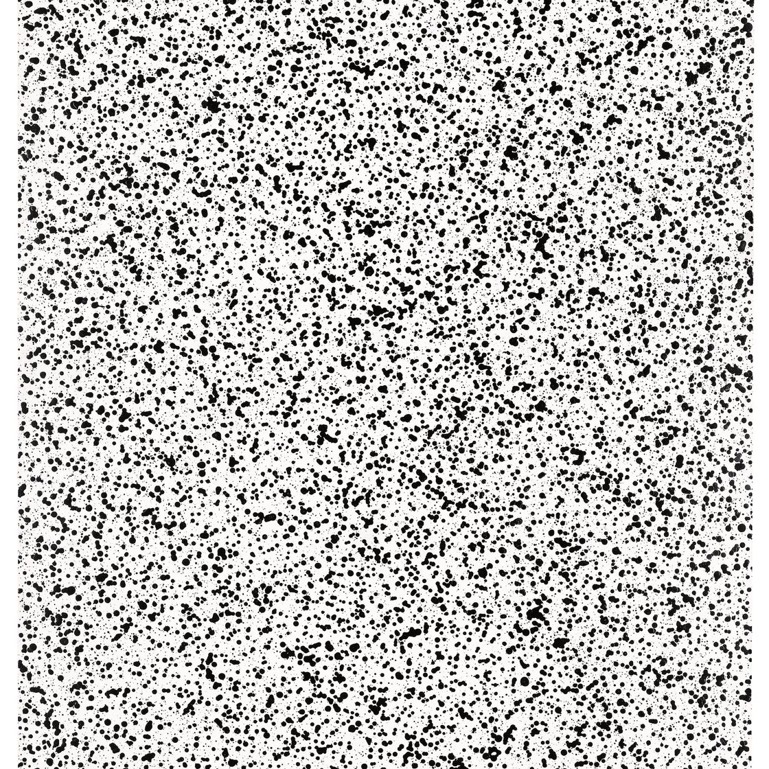 Christopher Wool — Без названия