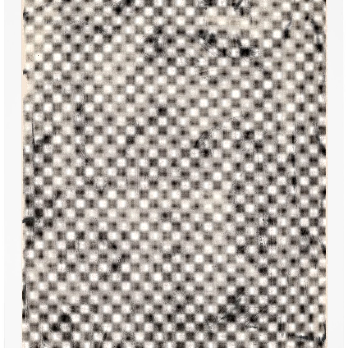 Christopher Wool — Три женщины (Средний уровень II), изображение 1