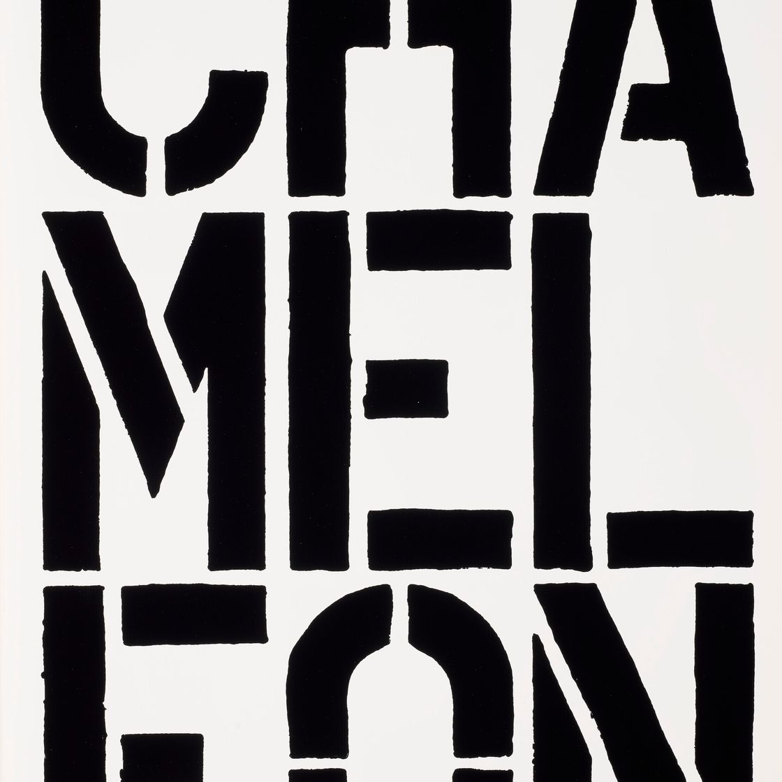 Christopher Wool — Черная книга, изображение 1